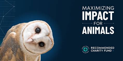 best animal charities to donate to 2023|Announcing Our 2023 Charity Recommendations .